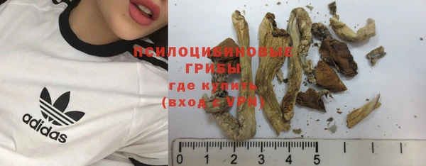 дмт Алзамай