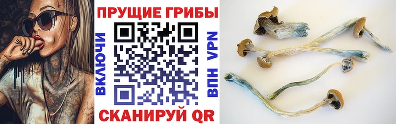 Псилоцибиновые грибы GOLDEN TEACHER  Щёлкино 